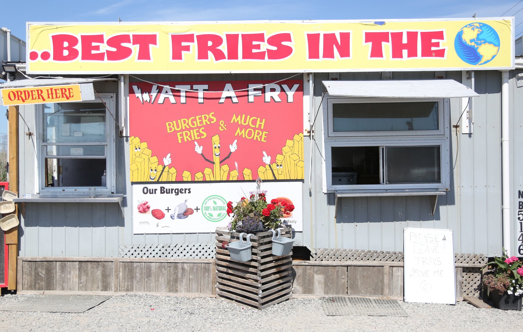 fries
